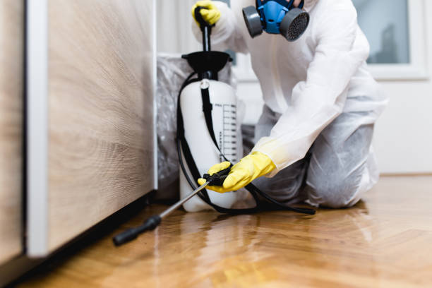 Best Affordable Pest Control Services  in Mount Pleasant, NC