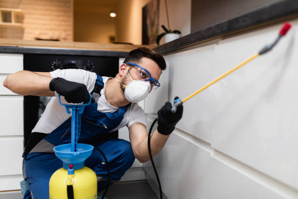 Mount Pleasant, NC Pest Control Company