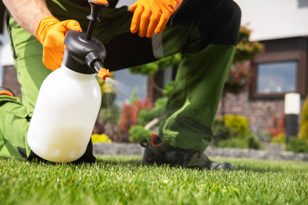 Best Best Pest Control Companies  in Mount Pleasant, NC
