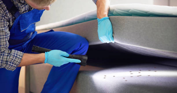 Best Best Pest Control Companies  in Mount Pleasant, NC