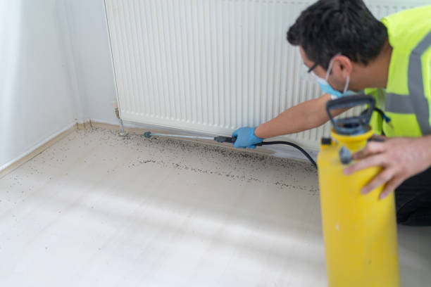 Best Pest Control Treatment  in Mount Pleasant, NC