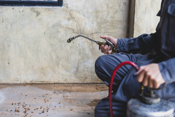 Best Exterminator Services  in Mount Pleasant, NC